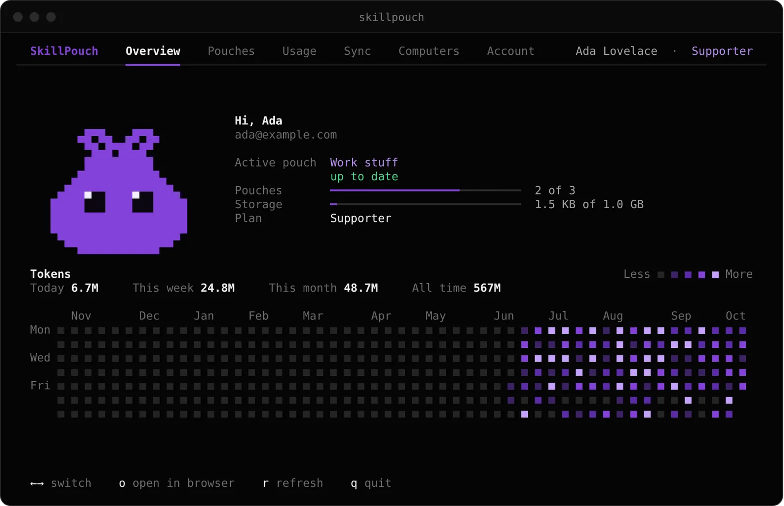 The SkillPouch terminal UI: the pouch mascot, the active pouch, plan meters and a grid of daily token usage.